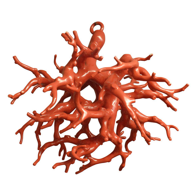 Suspended Coral sculpture by Maurizio Epifani