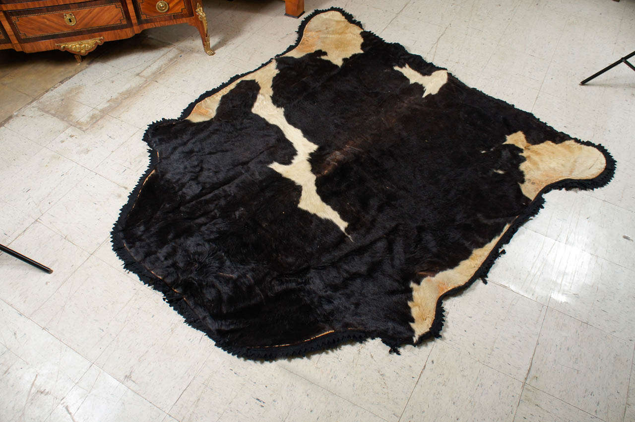 Esta divertida alfombra de piel antigua de principios del siglo XX conserva su antiguo soporte de fieltro y muestra  un dibujo de manchas blancas y negras bien colocadas por todo el cuerpo. Una insólita superviviente de la época alfombras como ésta