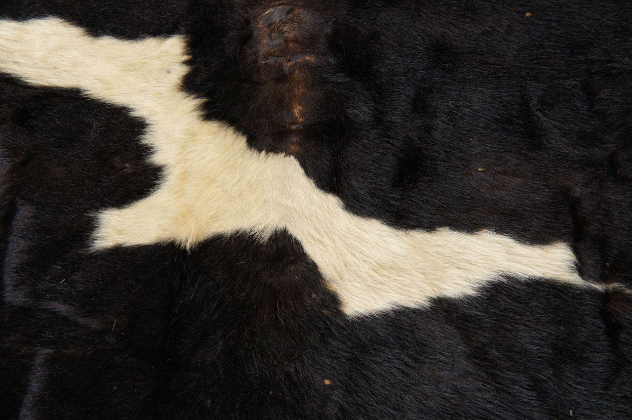Rustic A Vintage Cow Hide Rig With Felt Back For Sale