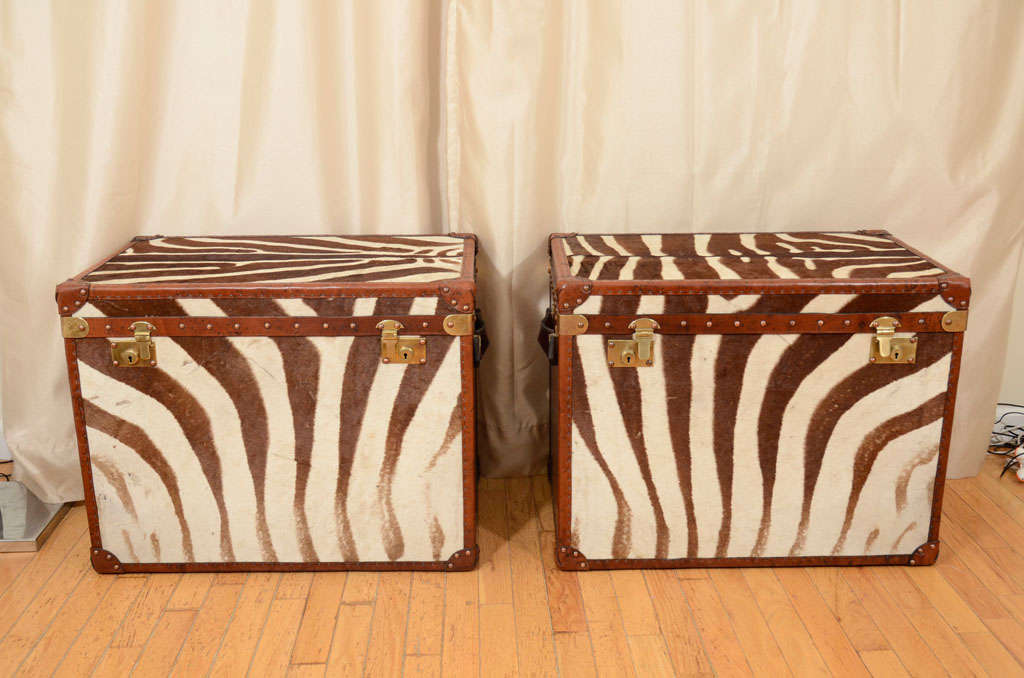 Exceptional pair of matching zebra skin trunks. These reconditioned trunks are covered in zebra hides dating to the late Victorian era. Trimmed in brown leather with brass fittings and heavy duty leather handles. The interiors are expertly relined