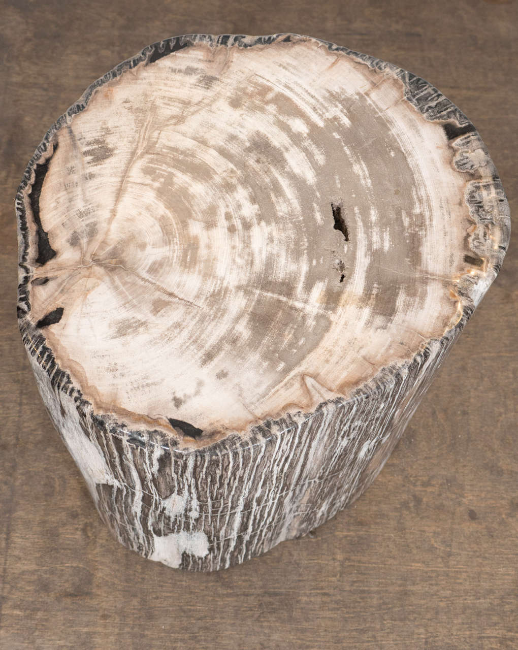 Organic Modern Petrified Wood Side Table