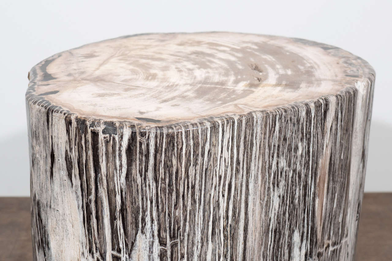 18th Century and Earlier Petrified Wood Side Table