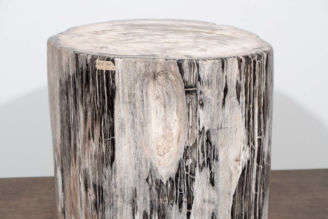 Petrified Wood Side Table 2