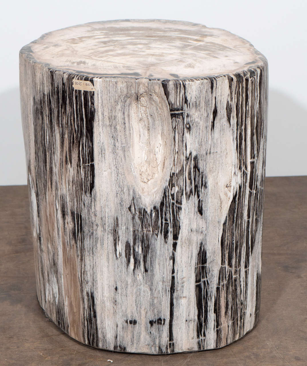 Petrified Wood Side Table at 1stDibs