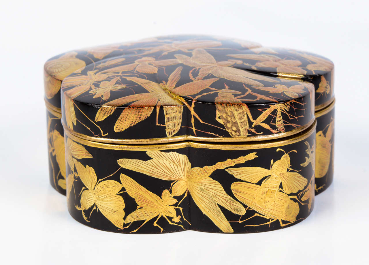 Rare and interesting polylobe shaped black lacquer Kobako decorated with a multitude of insects and snails in painted in gold lacquer.
Interior is in black lacquer and bottom is in nashiji lacquer.