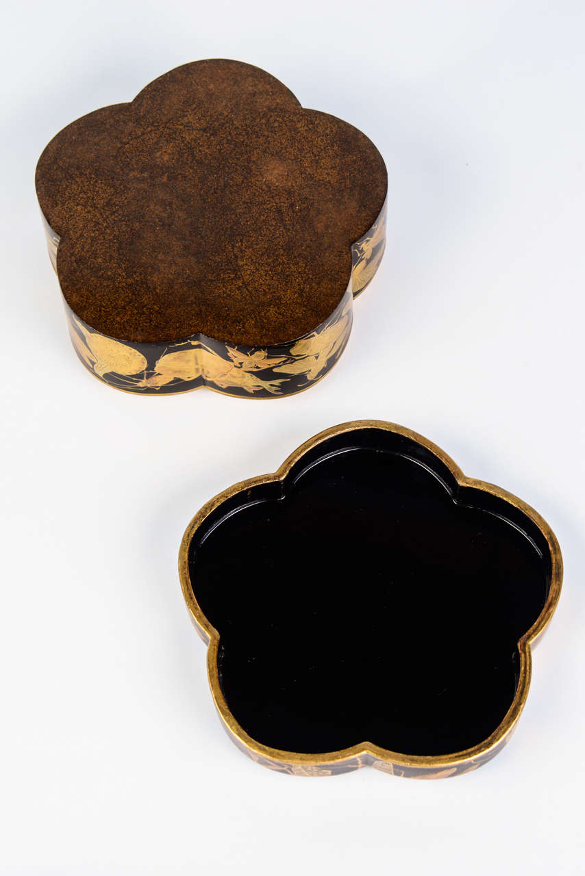 Edo Kobako Black and Gold Japanese Lacquer with Insects and Snails Decor 1