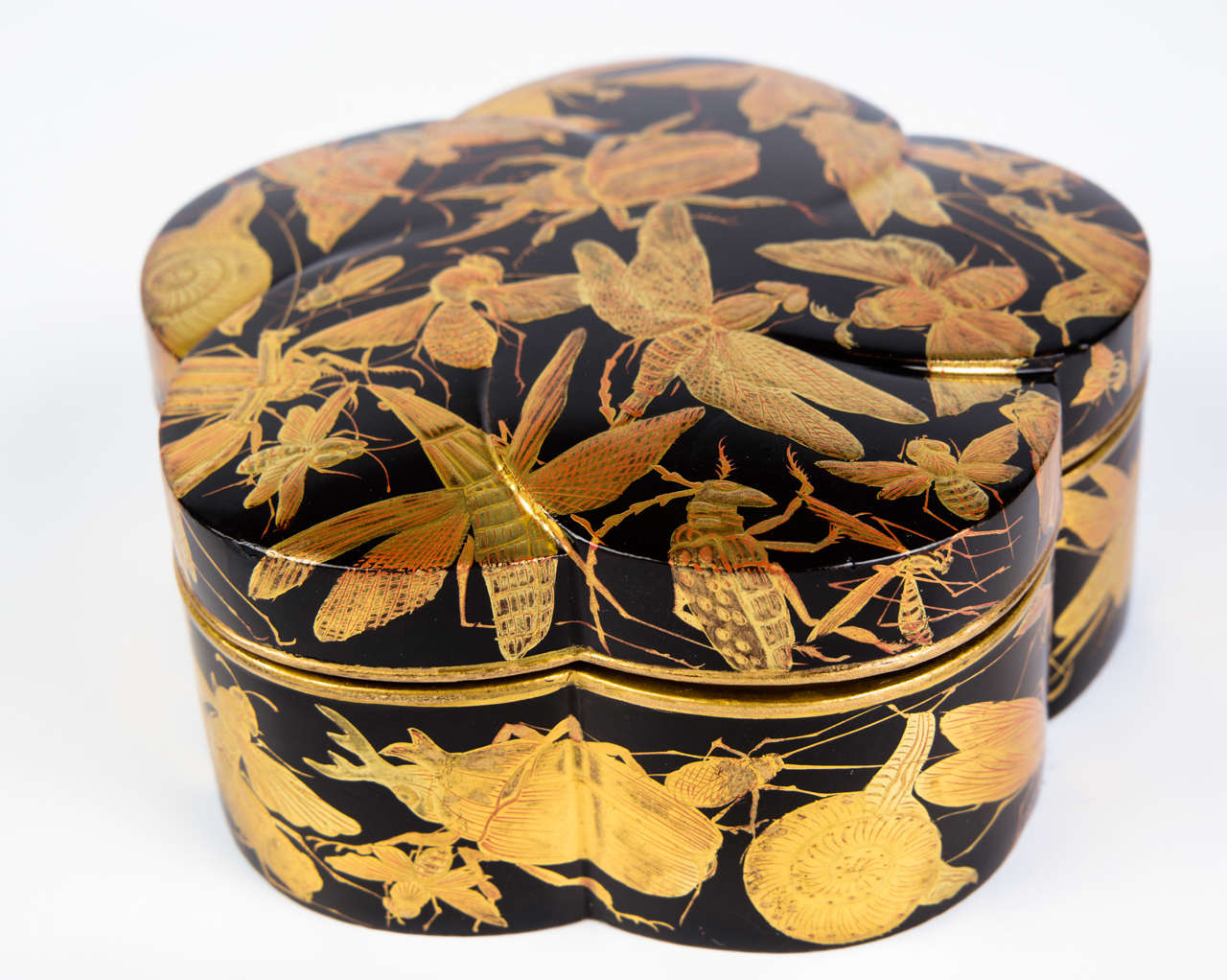 Edo Kobako Black and Gold Japanese Lacquer with Insects and Snails Decor 2