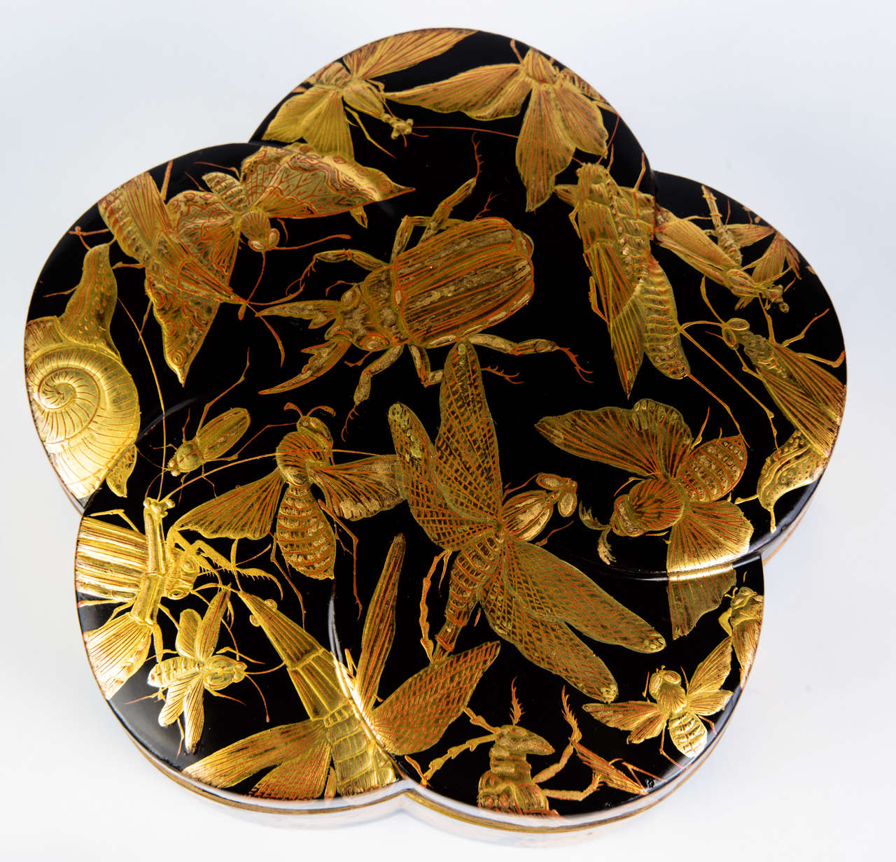 Edo Kobako Black and Gold Japanese Lacquer with Insects and Snails Decor 3