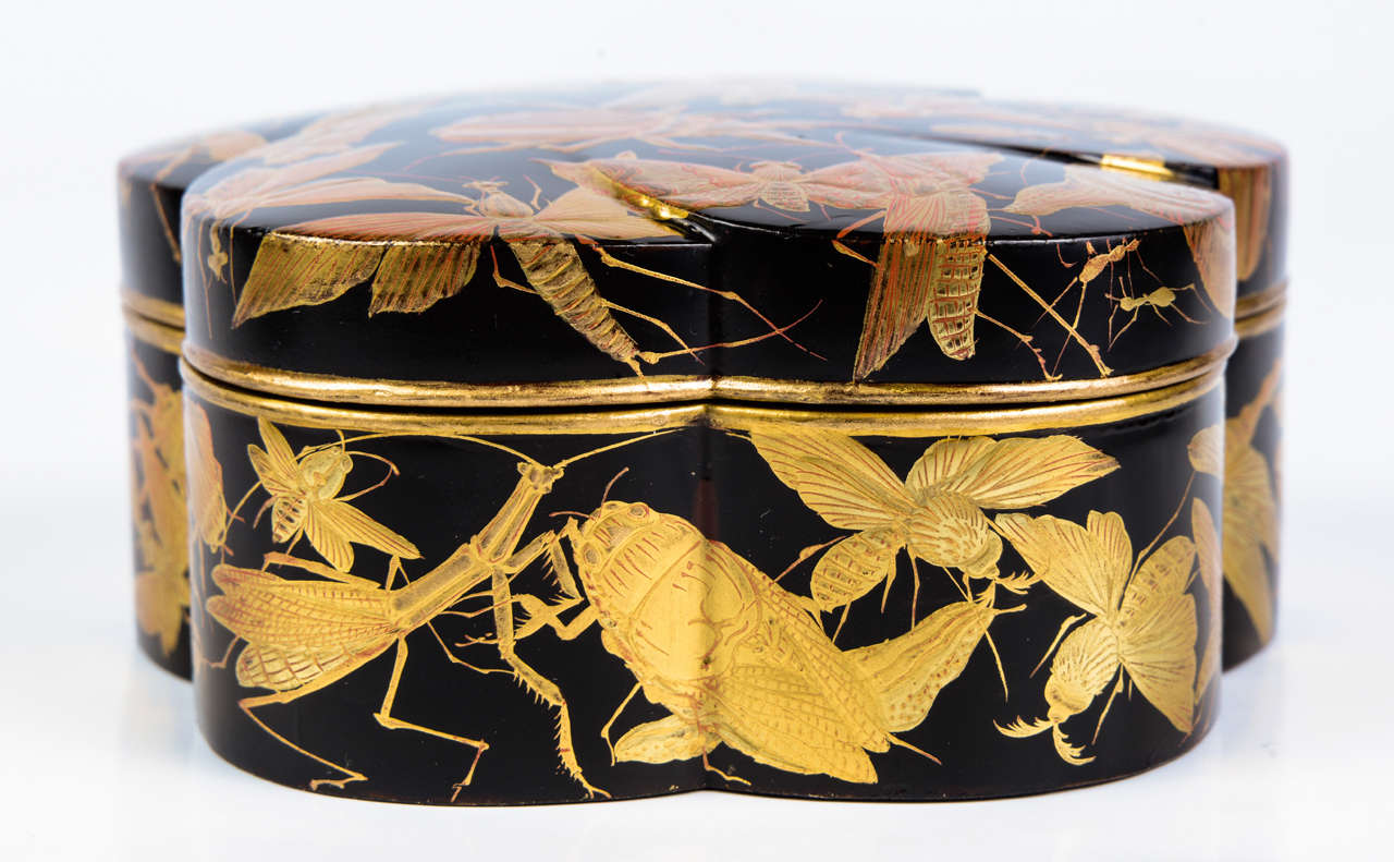 Edo Kobako Black and Gold Japanese Lacquer with Insects and Snails Decor 4