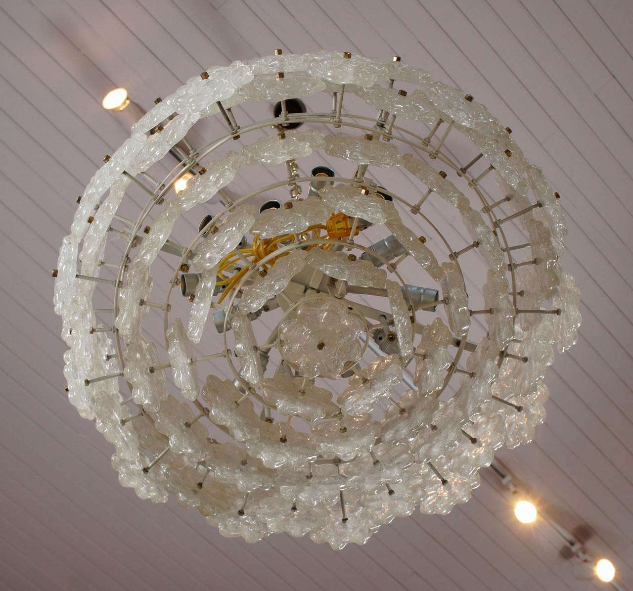 Mid-20th Century Lucite Floral Chandelier