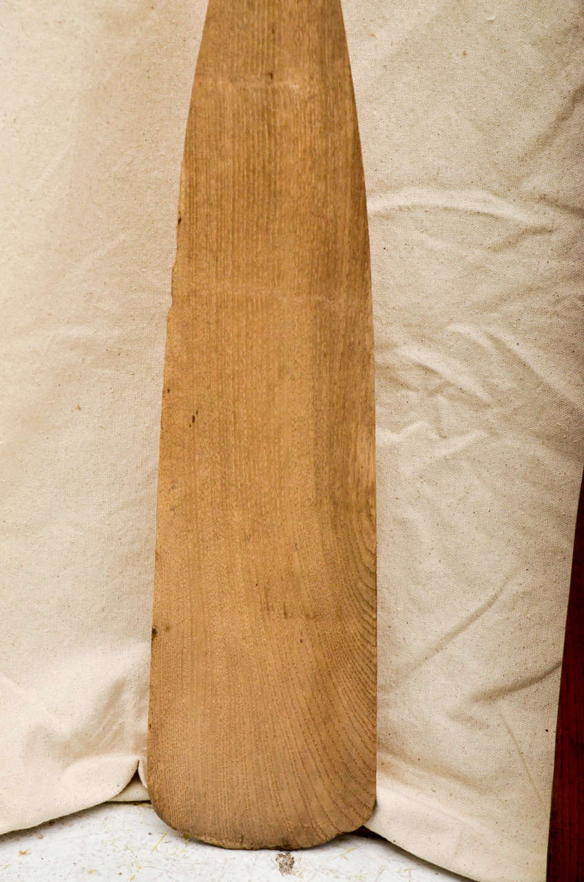 Three American Oak Oars 4