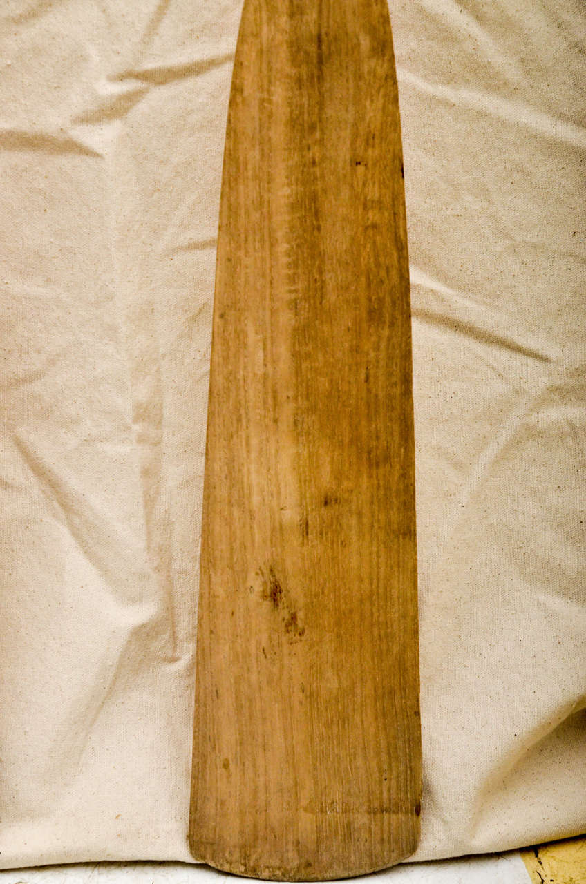 Three American Oak Oars 5