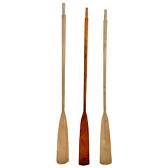 Three American Oak Oars