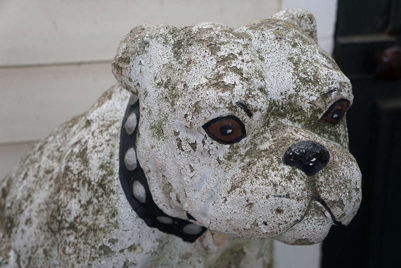 English Bulldog Cast Cement Garden Sculpture 2