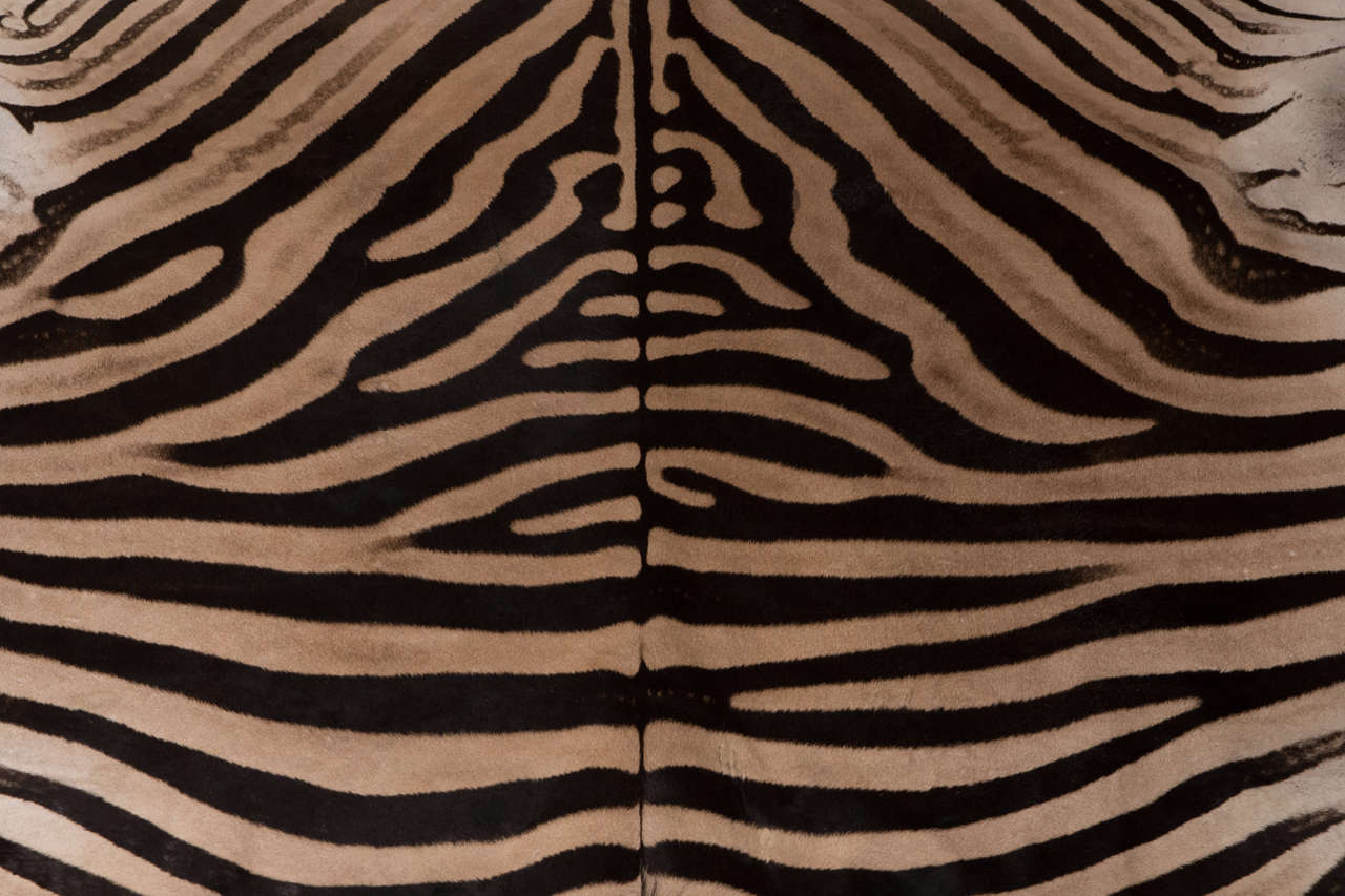 Teppich aus Zebra mit schwarzer Filzrückseite und Lederpaspeln (21. Jahrhundert und zeitgenössisch)