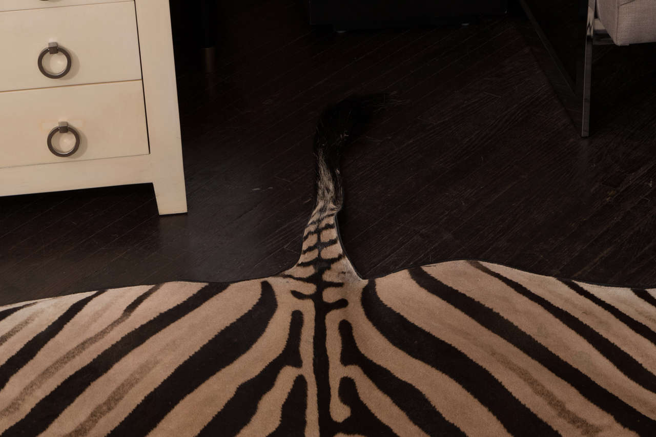 Teppich aus Zebra mit schwarzer Filzrückseite und Lederpaspeln (Zebrafell)