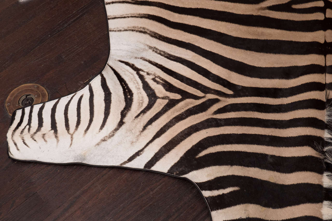Teppich aus Zebra mit schwarzer Filzrückseite und Lederpaspeln 1