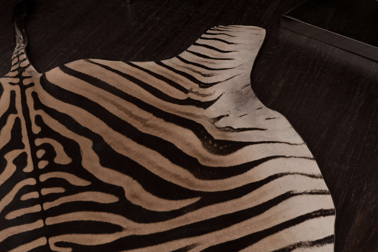 Teppich aus Zebra mit schwarzer Filzrückseite und Lederpaspeln 2