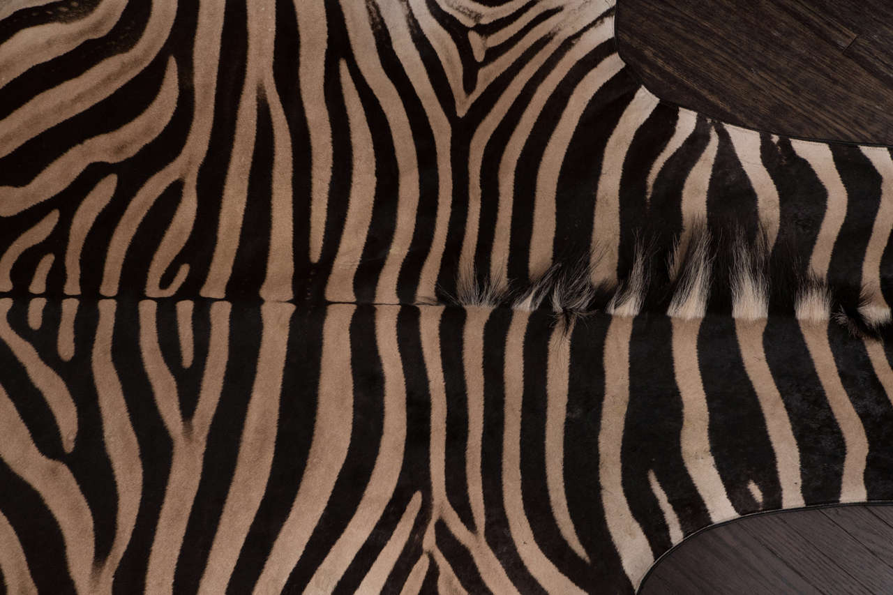 Teppich aus Zebra mit schwarzer Filzrückseite und Lederpaspeln 3