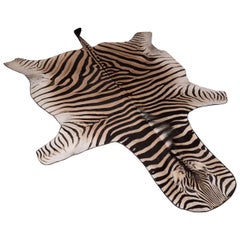 Teppich aus Zebra mit schwarzer Filzrückseite und Lederpaspeln