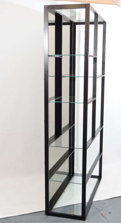 Milo Baughman Etagere with Smoked Mirror