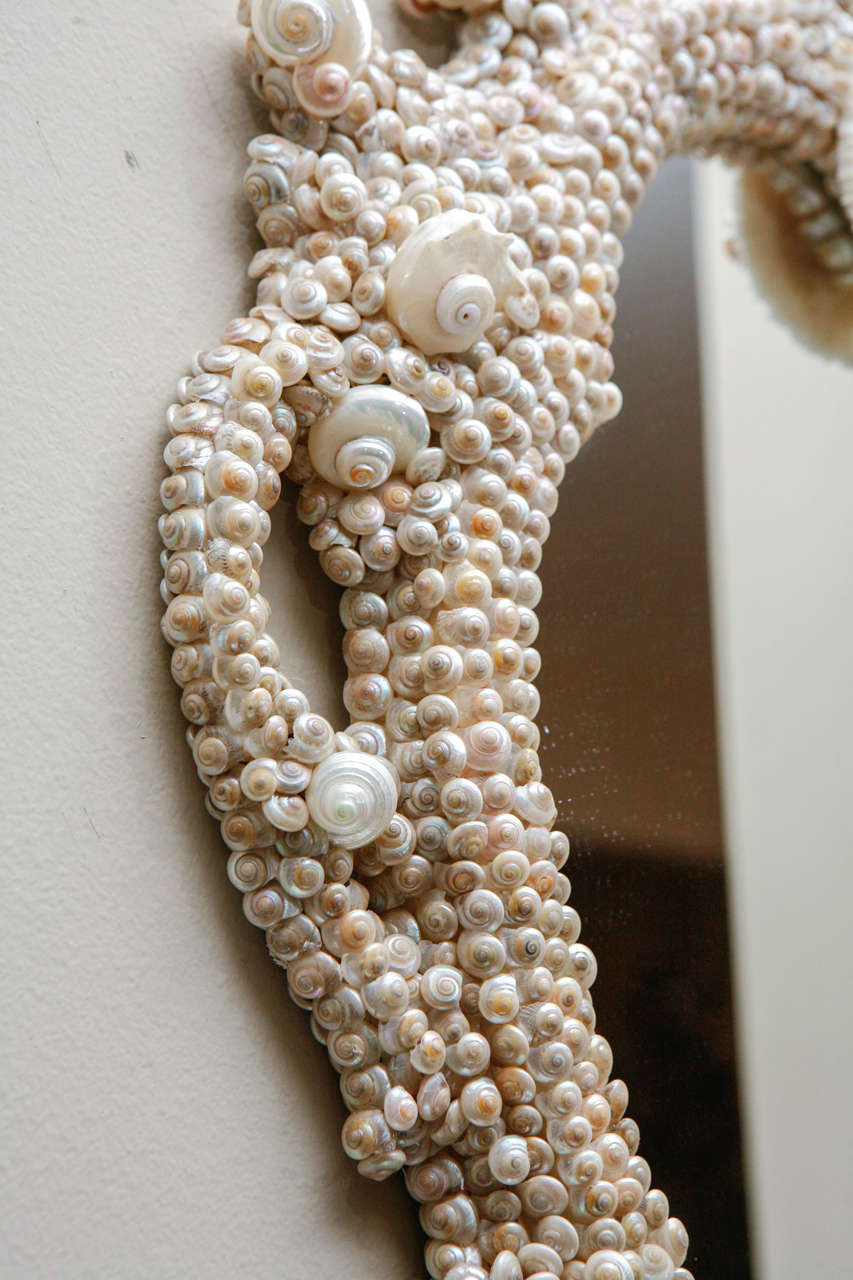 Shell Coquillage Mirror