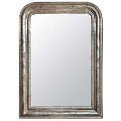 19th Century Louis Philippe Silver Giltwood Mirror