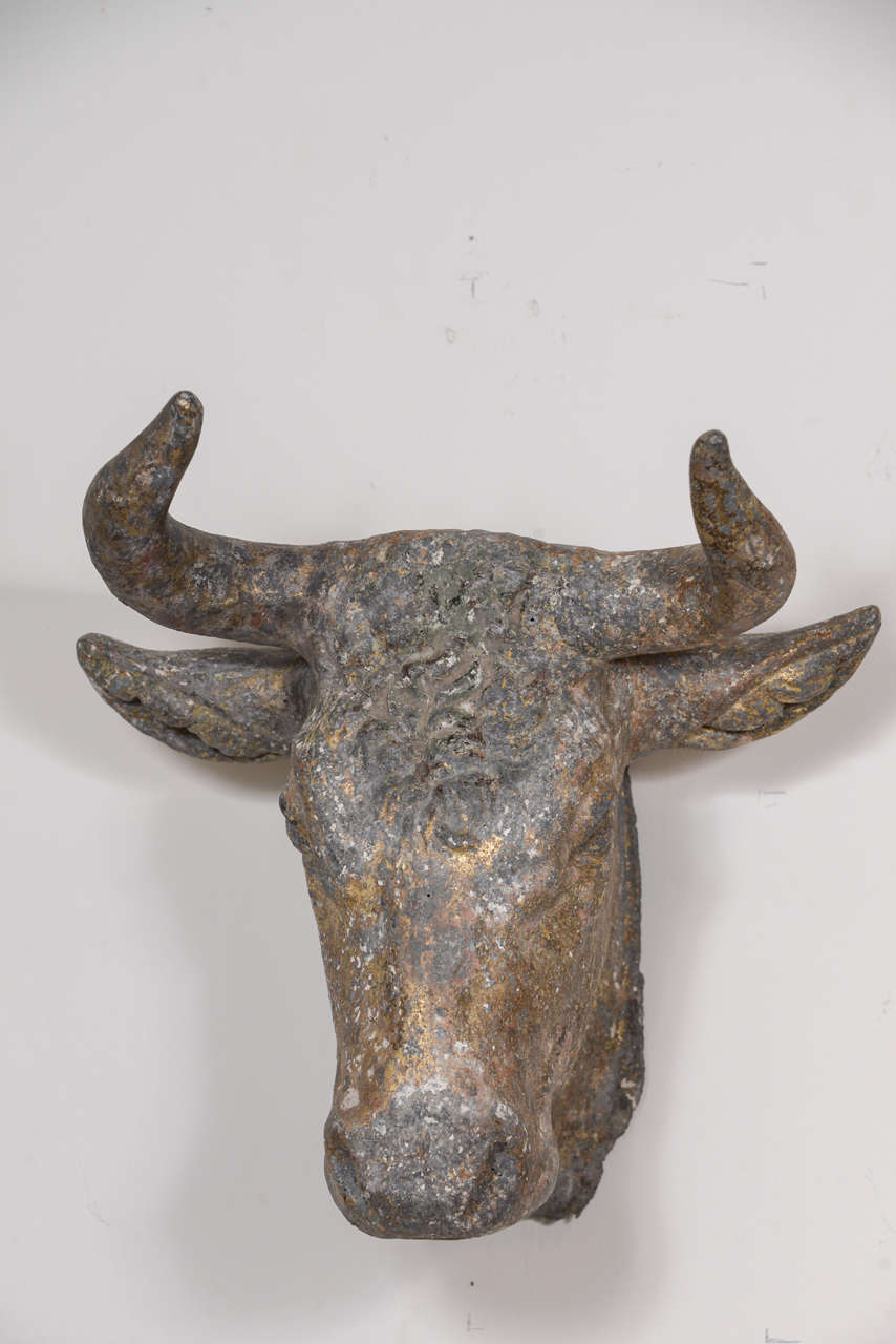 19th century French zinc bull head originally from a butcher shop.
