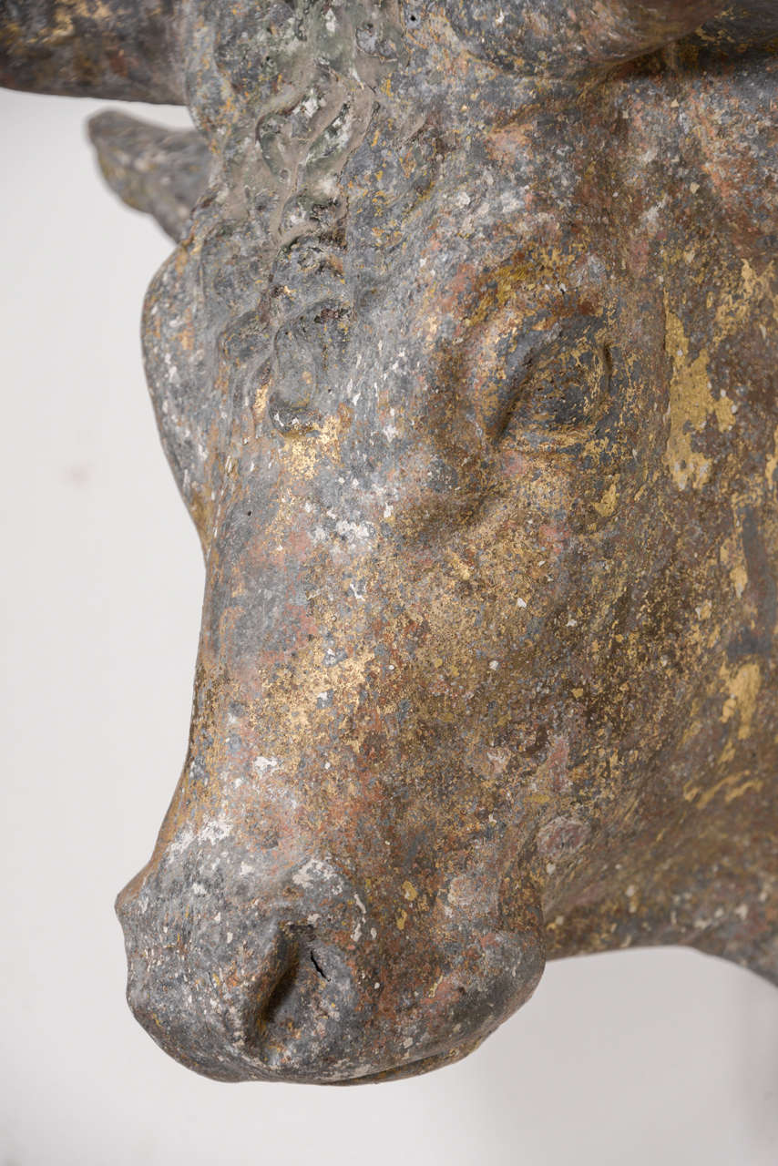19th Century French Zinc Bull Head In Excellent Condition In Houston, TX