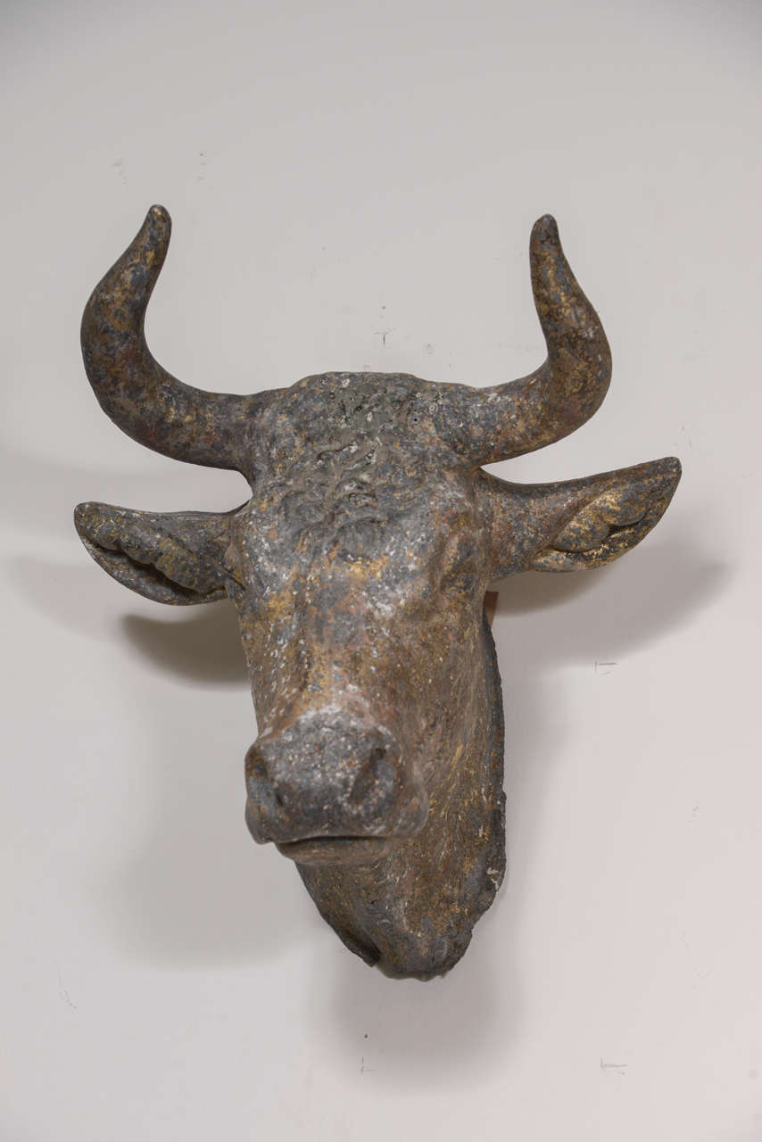 19th Century French Zinc Bull Head 2