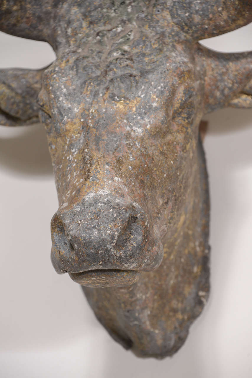 19th Century French Zinc Bull Head 3