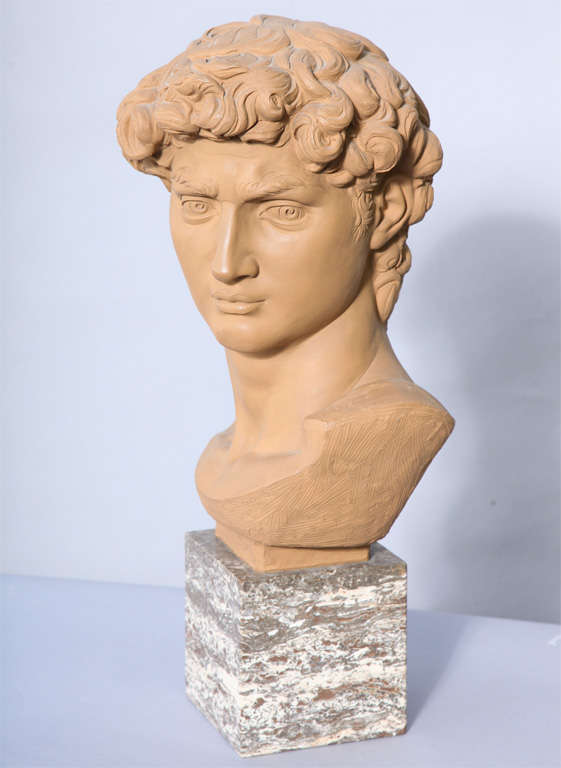 Terracotta Bust of David