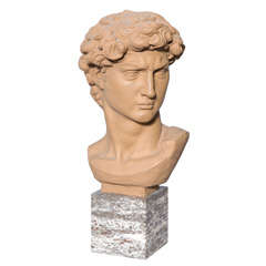 Terracotta Bust of David