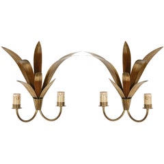 Pair of French Double Sconces