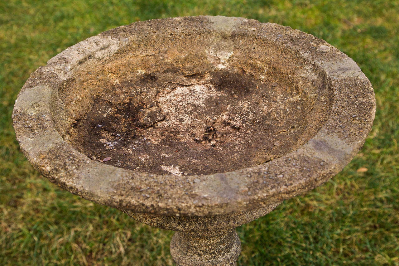 Other Superbly Aged English Birdbath