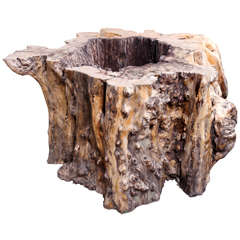 Large Organic Form Lychee Wood Table Base