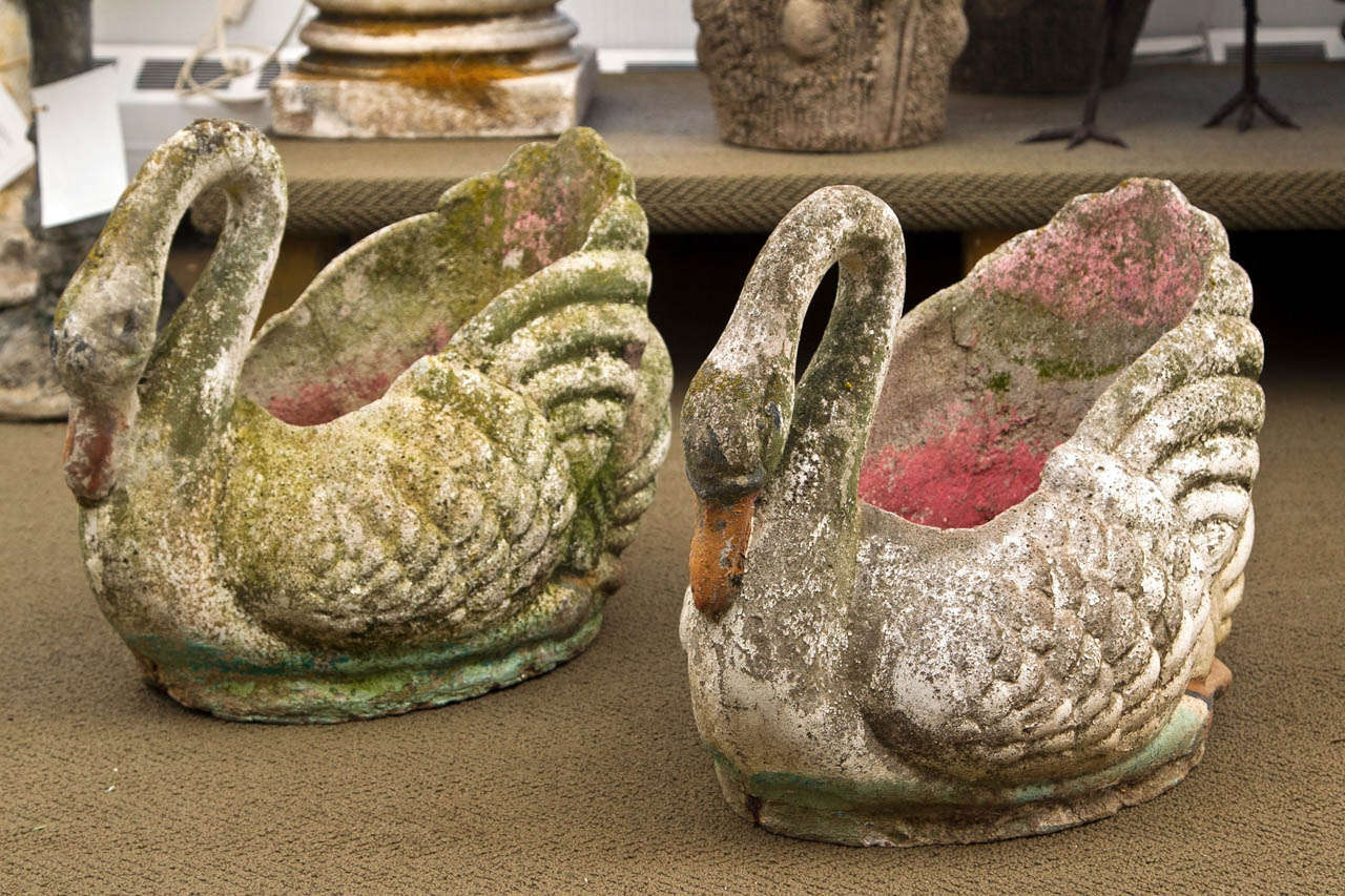 Pair of cement cast swan planters with original paint
