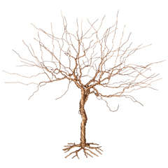 Gold Steel Wire Tree Sculpture