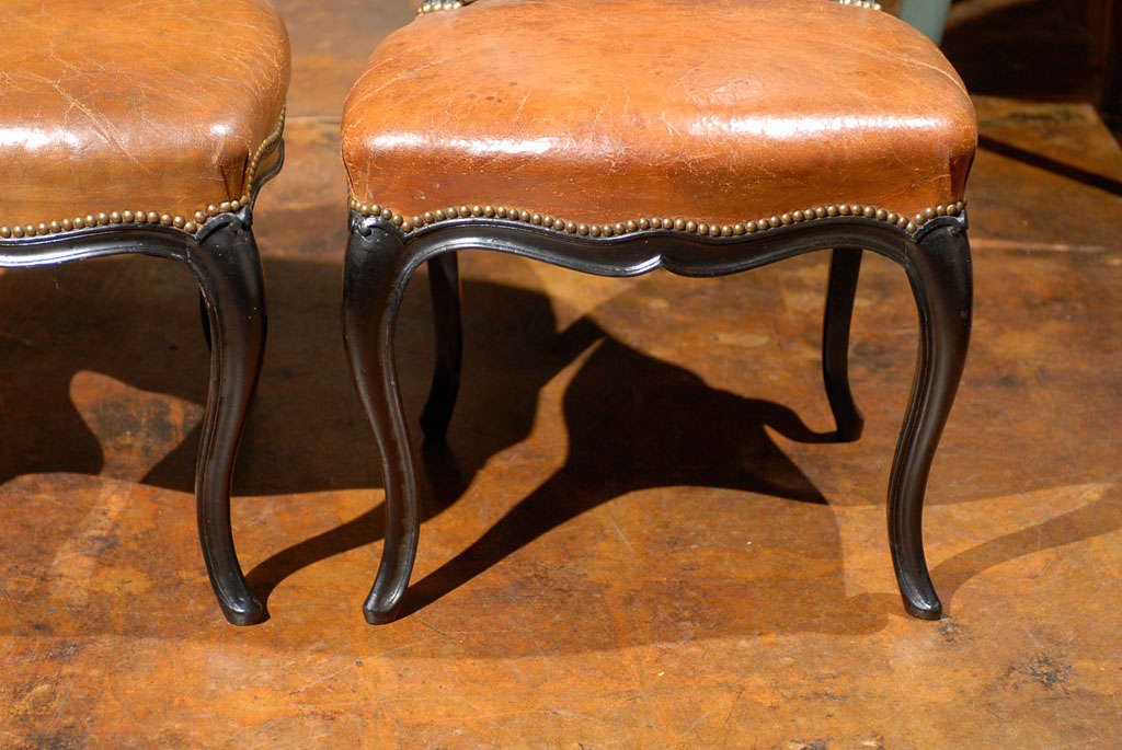 French Leather & Ebonized Chairs 2