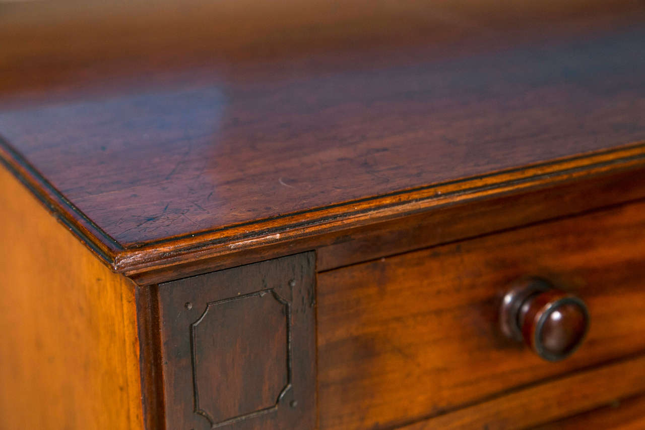 19th c. Mahogany Wellington Chest with 7 Graduated Drawers 5