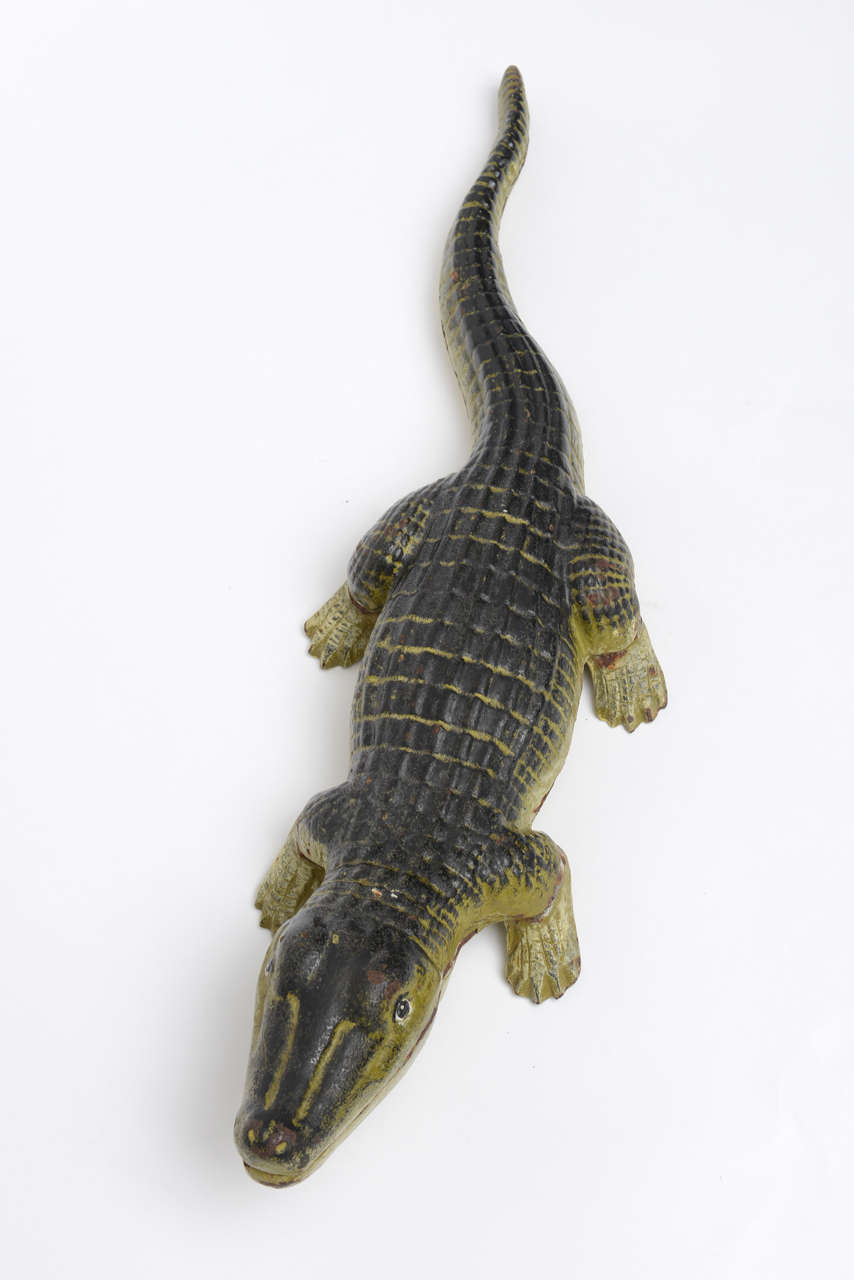 alligator in xhosa