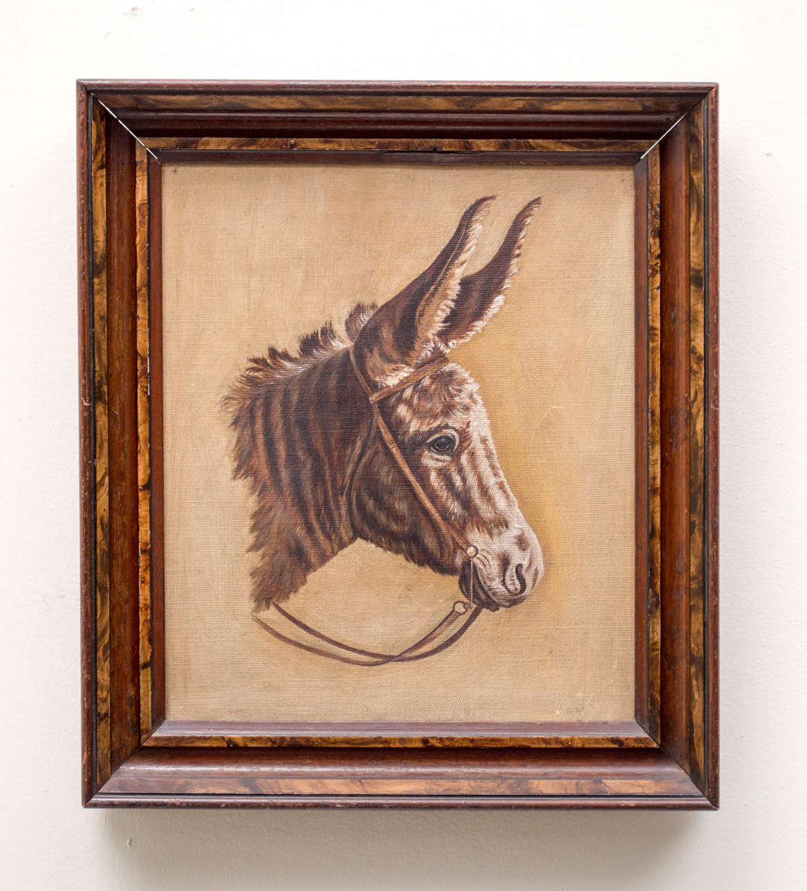 Late 19th century donkey portrait. Oil on canvas. Unrestored on the original stretcher with cast iron corner braces. Period walnut frame with faux painted 