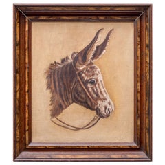 Antique Late 19th Century Donkey Portrait