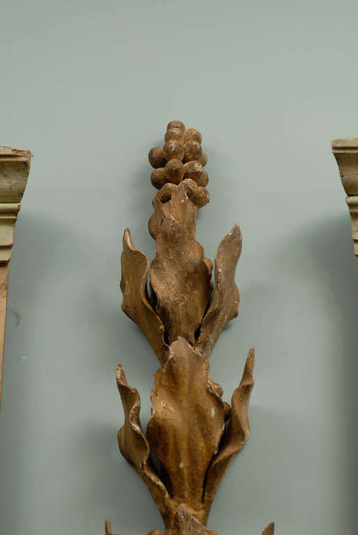 18th Century and Earlier Italian 18th Century Carved Wood Vine Fragment For Sale