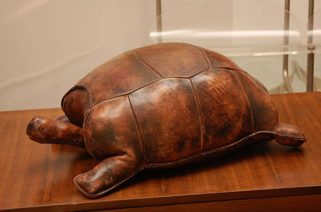 Abercrombie & Fitch style large  leather turtle
