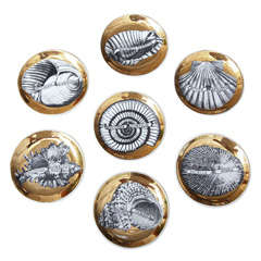 Set of Fornasetti "Conchyliorum" Shell Coasters