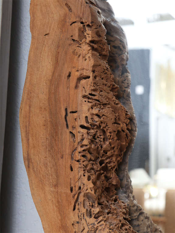 wood stump mirror