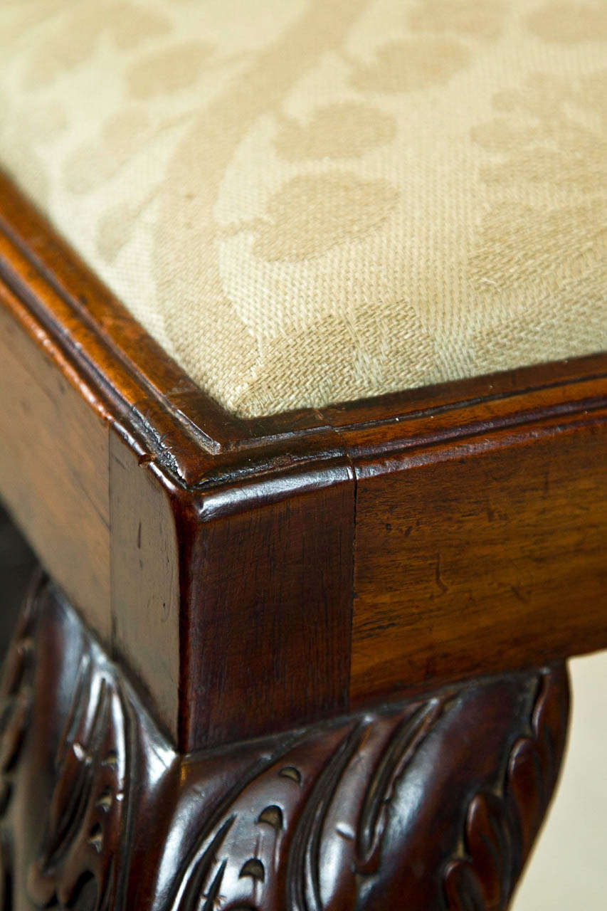 Upholstery Mahogany Bench on Carved Legs For Sale
