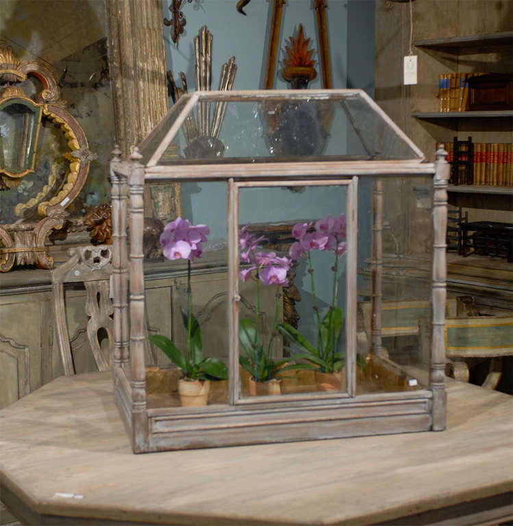 A Late 19th Century English Painted Wood Display Cabinet / Vitrine, perfect for flowers, moss, jars decorated with any accessory that speaks to your heart. The orchids are of course not included...