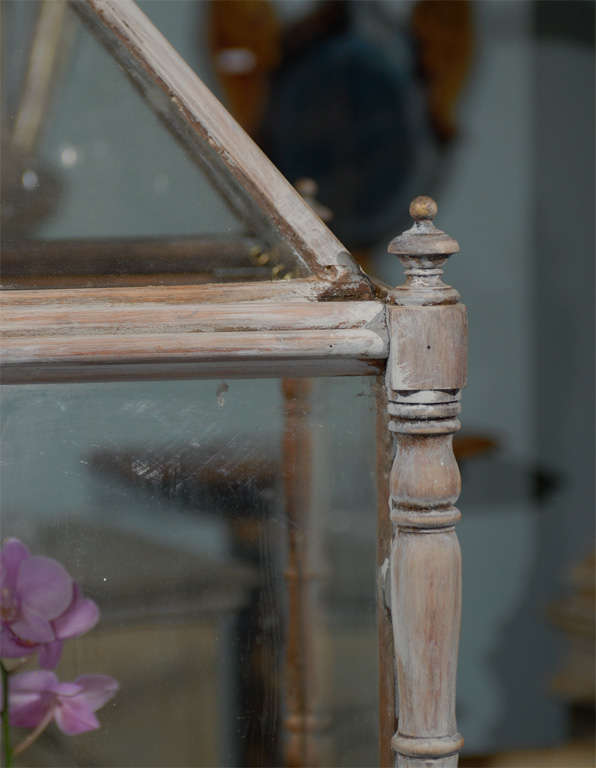 A Late 19th Century English Painted Wood Display Cabinet 3